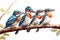 Image of group of banded kingfisher on a branch on a white background. Birds. Animals. Illustration, Generative AI