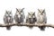 Image of group of barred eagle-owl on a branch on a white background. Birds. Animals. Illustration, Generative AI