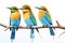 Image of group of blue-tailed bee-eater on a branch on a white background. Birds. Animals. Illustration, Generative AI