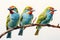 Image of group of blue-throated barbet bird on a branch on a white background. Birds. Animals. Illustration, Generative AI