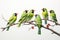 Image of group of common green magpie on a branch on a white background. Birds. Animals. Illustration, Generative AI