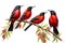 Image of group of crimson sunbird on a branch on a white background. Birds. Animals. Illustration, Generative AI