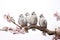 Image of group of javanese dove on a branch on a white background. Birds. Animals. Illustration, Generative AI