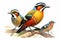 Image of group of malayan banded pitta on a branch on a white background. Birds. Animals. Illustration, Generative AI
