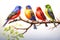 Image of group of painted bunting birds on a branch on a white background. Birds. Animals. Illustration, Generative AI