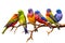 Image of group of painted bunting birds on a branch on a white background. Birds. Animals. Illustration, Generative AI