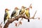 Image of group of red-bellied woodpecker on a branch on a white background. Birds. Animals. Illustration, Generative AI