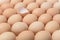 Image of a group of whole chicken eggs and half an egg shell among it.