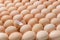 Image of a group of whole chicken eggs and half an egg shell among it.