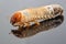 Image of grub worms, Coconut rhinoceros beetle Oryctes rhinoceros, Larva with reflection.