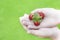 Image of hand wild strawberry