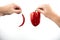 Image of hands holding red fresh chilly pepper and sweet red pepper on  white background