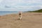 Image of happy Beige and white Siberian Husky dog running on the beach at seaside