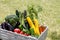 Image of harvest with Japanese vegetables, many kinds of vegetables