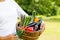 Image of harvest with Japanese vegetables, many kinds of vegetables