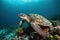 Image of hawksbill turtle swimming under the sea. underwater animals. illustration, generative AI
