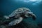 image of a hawksbill turtle swimming under the sea. underwater animals. illustration, generative AI