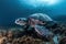 image of a hawksbill turtle swimming under the sea. underwater animals. illustration, generative AI