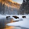 an image of a herd of buffalo crossing the frozen lake