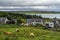 Image of highland cows near a village on the shores of Kyle of Tongue, north west Scotland