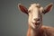 Image of horned goat cute smile. Illustration, Farm animals. Generative AI