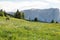 Image of horse on Lankoffel mountain range. View from Seiser Alm