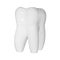 Image of human molar tooth on white background for texture and logo