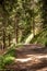 Image of an idyllic quiet hiking trail Austrian Alps