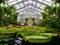 Image of interior of greenhouse with lots of plants
