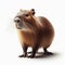 Image of isolated capybara against pure white background, ideal for presentations