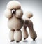 Image of isolated poodle against pure white background, ideal for presentations