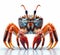 Image of isolated Sally-lightfoot Crab against pure white background, ideal for presentations