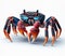 Image of isolated Sally-lightfoot Crab against pure white background, ideal for presentations