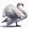 Image of isolated swan against pure white background, ideal for presentations