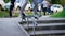 Image of legs of skateboarder in casual sport outfit jumping up and grinding on railing outdoors. Teenager is doing