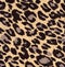 Image leopard fur as background