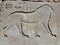 The image of a lion on the wall of Karnak temple