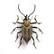 Image of long horned beetle on clean background. Insect. Illustration, Generative AI