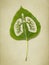 Image of lungl plant punched into green leaf, lungs silhouette, Save environment concept.