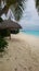 Image of Maldives beautiful sandy beach