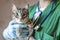 Image of male doctor veterinarian with stethoscope is holding cute grey cat on hands at vet clinic