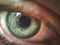 Image of man`s blue eye close up. Very close up, soft focus