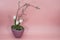 Image modern art flowers decoration ikebana for apartment, office, postcard, poster, Valentine`s Day invitations, magazines.