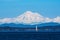 Image of Mt. Baker, Washington USA taken from Cattle Point, Vancouver Island, BC, Canada