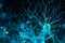 An image of neurons involved in executive function, such as those in the prefrontal cortex. Generative AI