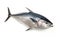 image of northern bluefin tuna on white background. Underwater Animals. Foods. illustration, generative AI