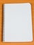 Image of a notebook in blank