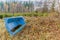 Image of a old blue bathtub lying on a meadow with standing water
