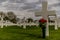 Image of one cross with a vase with red roses in the American Cemetery Margraten