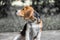 Image with original color reproduction, stylized faded retro postcard. A thoughtful Beagle puppy on a walk in a city park. Portrai